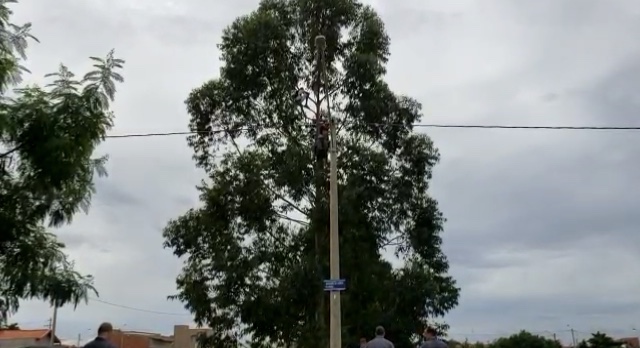 Em Piracicaba, bombeiros são acionados para socorrer homem que ameaçava pular de árvore