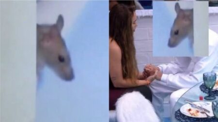 Rato invade BBB20 e viraliza na web
