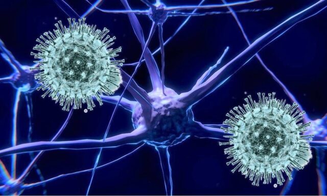 PESQUISA: Autópsias em SP encontram coronavírus no cérebro; danos são estudados