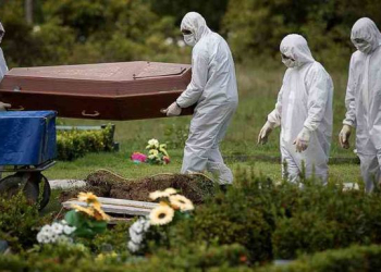 Foto: Amazonia Real.