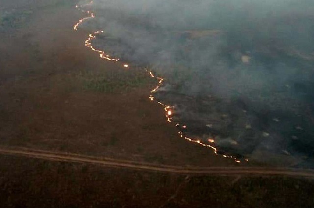 Amazônia tem maior número de queimadas nas primeiras semanas de junho desde 2007
