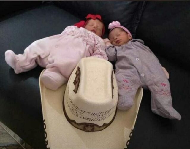 Gêmeas recém-nascidas morrem após ataque de cachorro da família na Bahia Gêmeas recém-nascidas morrem após ataque de cachorro da família na Bahia