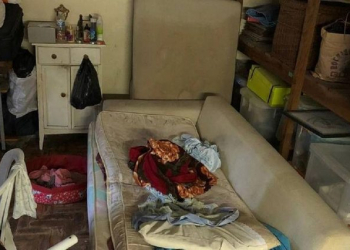 Foto: Ministério Público do Trabalho