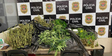 Foto: Polícia Civil / Divulgação.