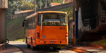 Foto: Wagner Romano / PIRANOT