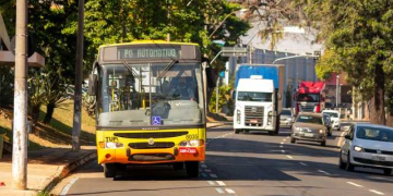 Foto: Wagner Romano / PIRANOT