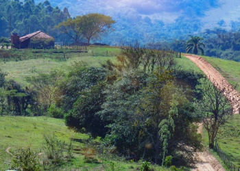 Foto: Caminho do Mosteiro / Instagram