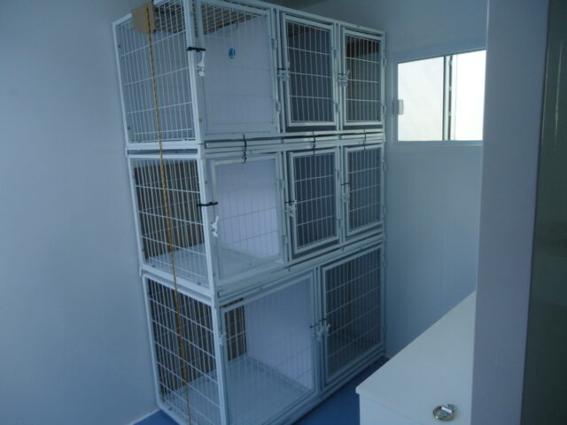 Castramóvel, responsável pela castração de cães e gatos