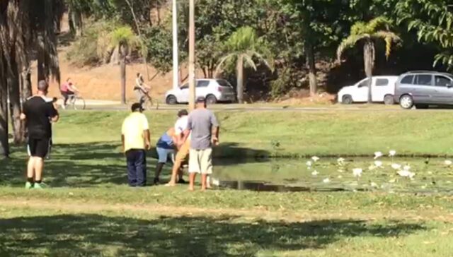 Na imagem, um print do vídeo que mostra os homens jogando o cachorro no lago