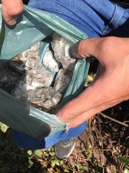 Em Piracicaba, indivíduo é preso e grande quantidade de drogas é apreendida nesta tarde