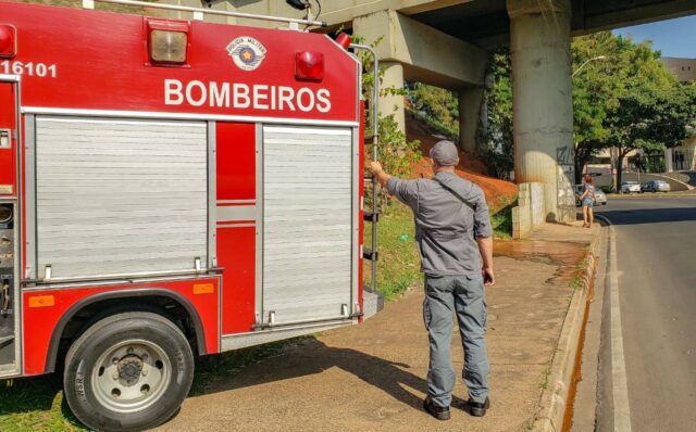 Uma imagem do Corpo de Bombeiros no local