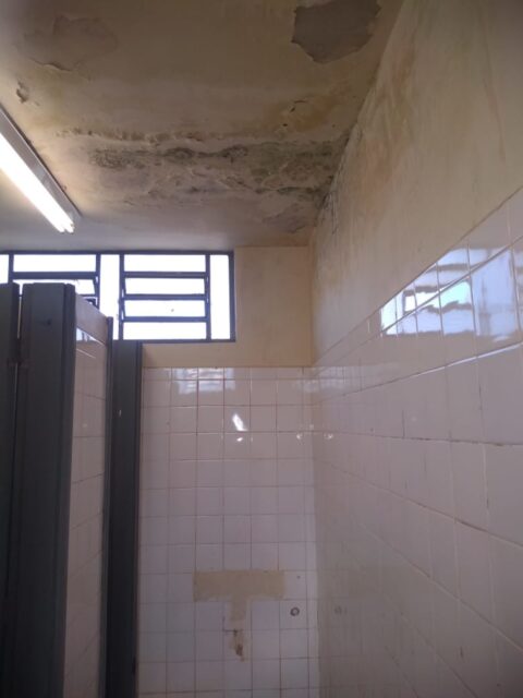 Uma foto do teto do banheiro da praça central de Tupi