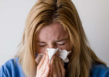 Crédito: Mojca J./Pixabay