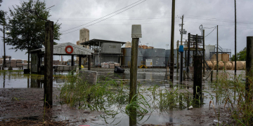 Foto: Kathleen Flynn.