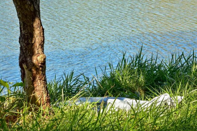 Uma foto que mostra o corpo da vítima, às margens da lagoa