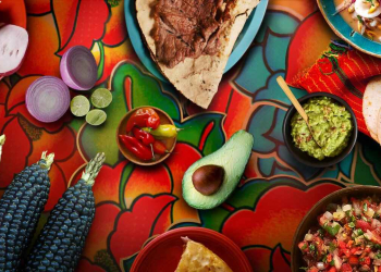 Imagem: Divulgação