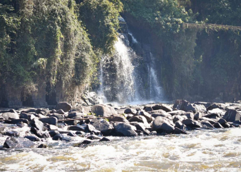 Foto: Wagner Romano / Jornal PIRANOT