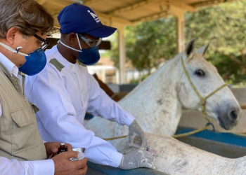 Foto: Instituto Vital Brazil