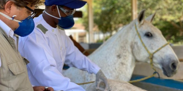 Foto: Instituto Vital Brazil