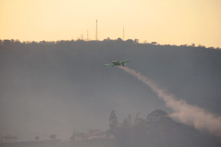 Forte incêndio atinge 100 mil m² de mata na Serra de São Pedro