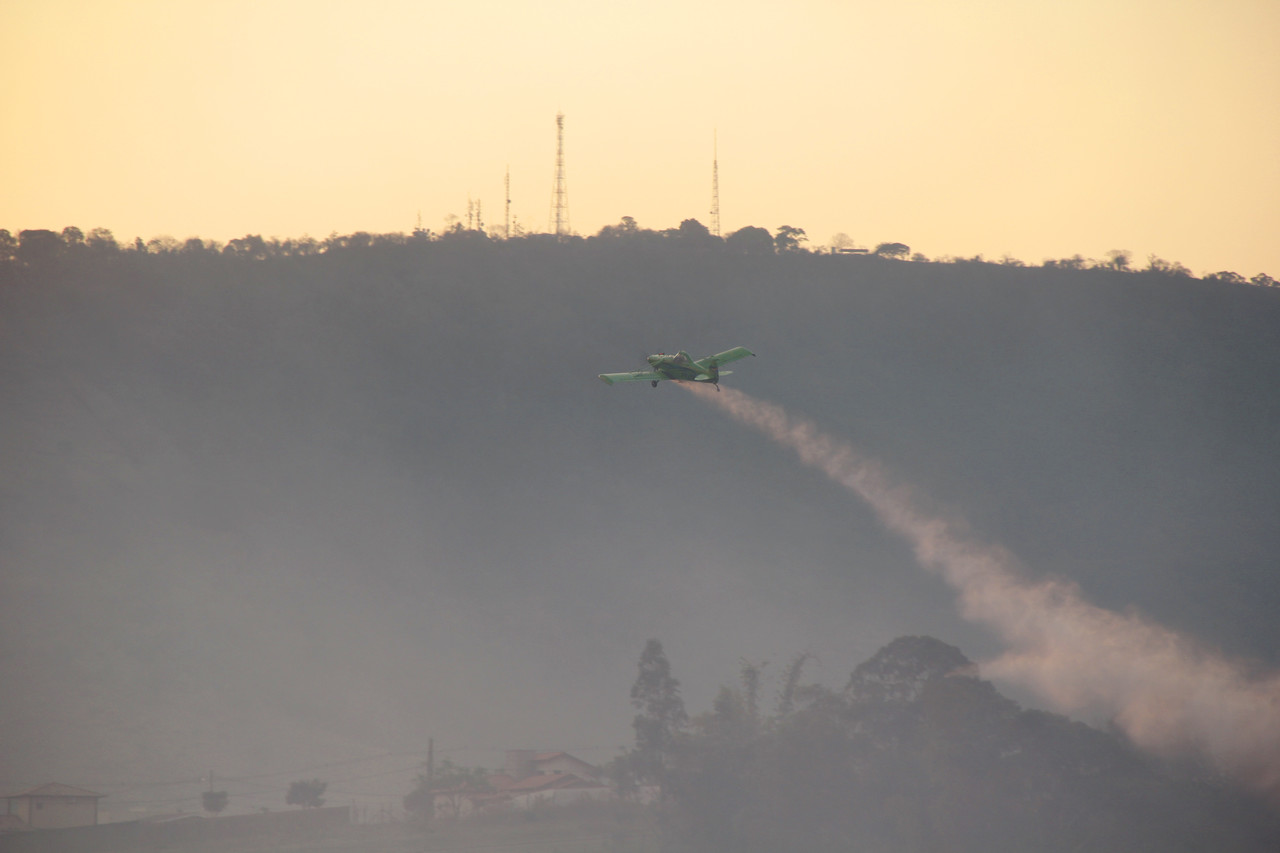Forte incêndio atinge 100 mil m² de mata na Serra de São Pedro