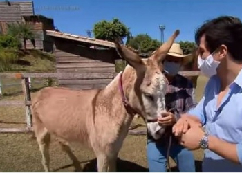 Foto: Reprodução/RecordTV