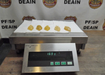 Foto: Divulgação/PF SP