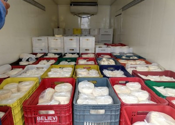 Foto: Secretaria de Agricultura e Abastecimento do Estado de São Paulo