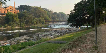 Foto: Junior Cardoso / Jornal PIRANOT