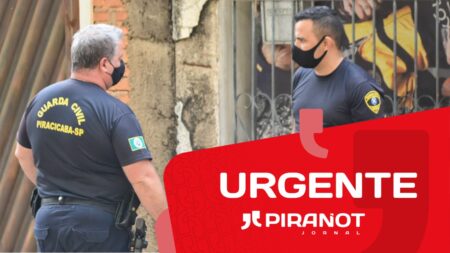 Em Piracicaba, canil clandestino com diversos filhotes é encontrado