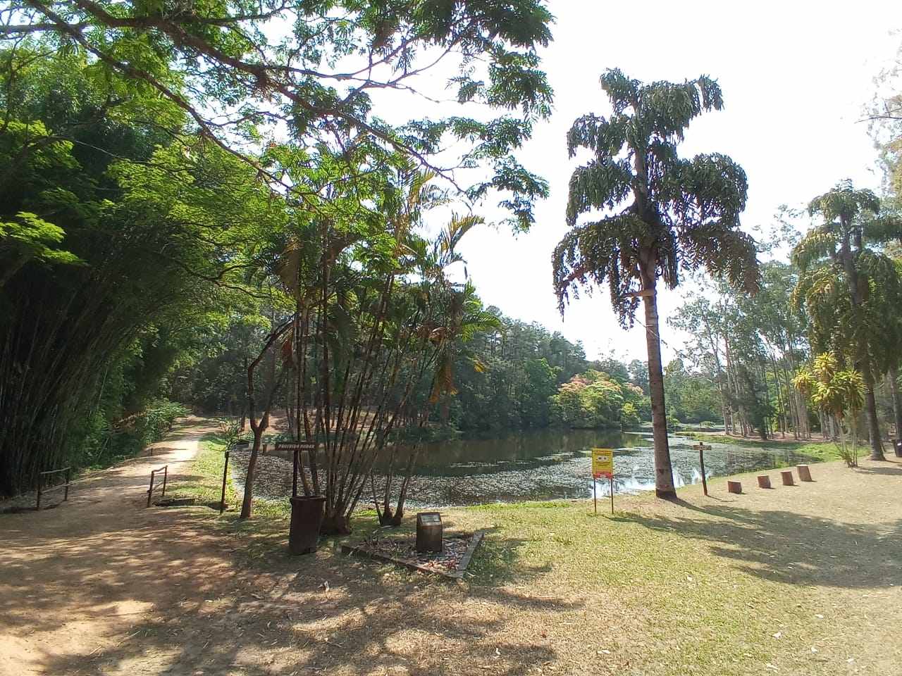 Com avanço de Piracicaba à fase verde, Horto de Tupi reabre