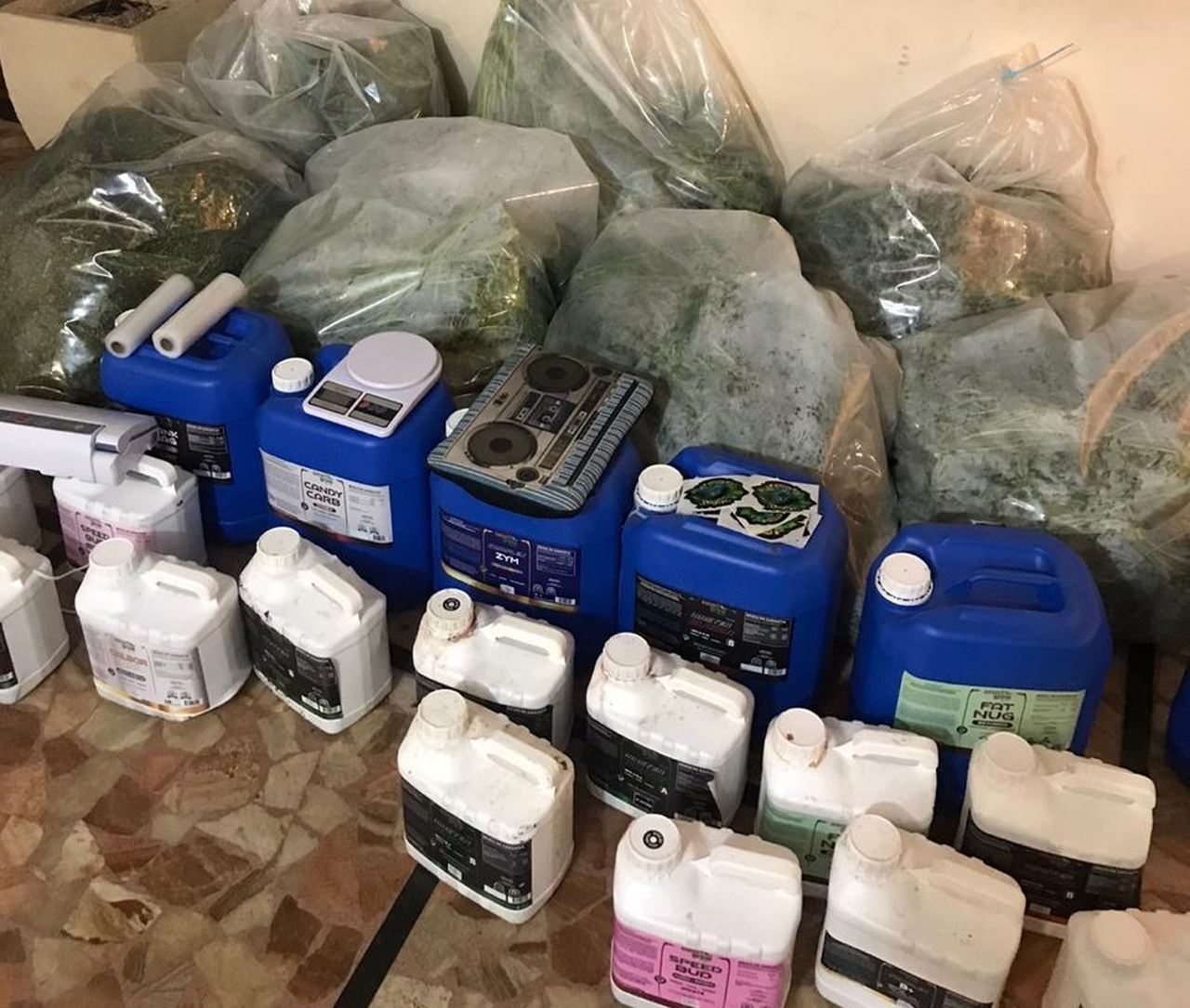 Em Piracicaba, Polícia Civil prende um e desmantela grande laboratório de “super-maconha”