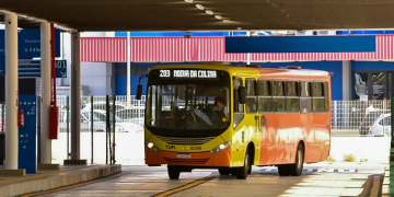 Foto: Wagner Romano / Jornal PIRANOT