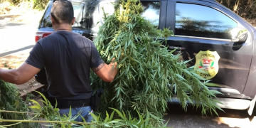 Foto: Polícia Civil