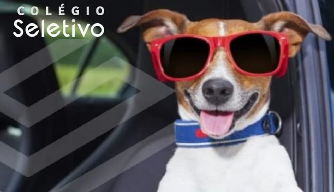Colégio Seletivo realiza 7ª Cãominhada Pet-Thru neste sábado (28) em Piracicaba
