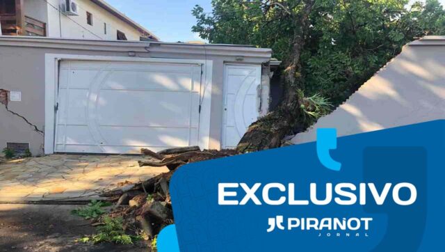 Forte temporal derruba árvore sobre casa no Nova Piracicaba