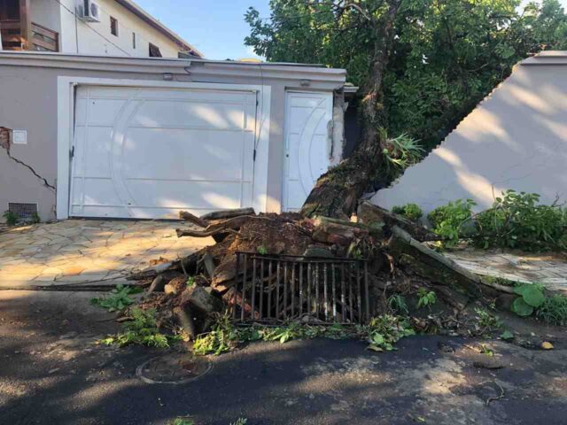 Forte temporal derruba árvore sobre casa no Nova Piracicaba