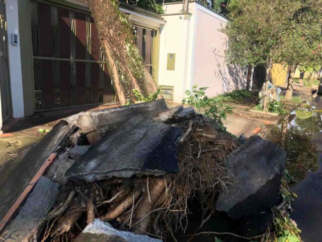 Forte temporal derruba árvore sobre casa no Nova Piracicaba