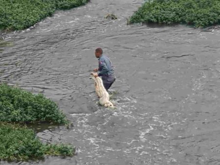 Encontro de cadáver mobiliza bombeiros, em Piracicaba, nesta quarta (11)