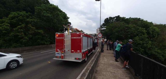 Encontro de cadáver mobiliza bombeiros, em <span class=