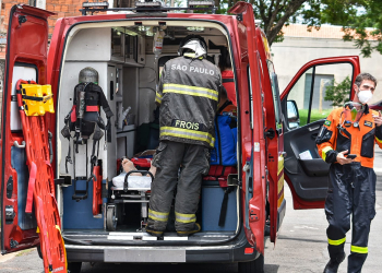 Foto: Wagner Romano / PIRANOT