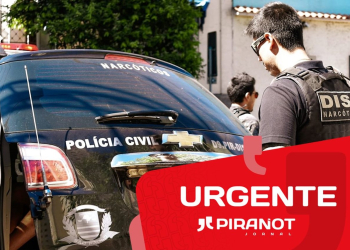 Foto: Wagner Romano / PIRANOT