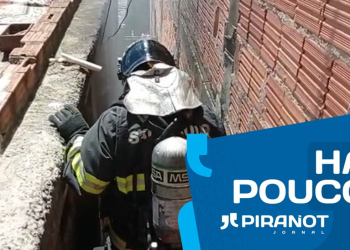 Foto: Wagner Romano / PIRANOT