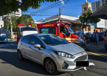 Foto: Wagner Romano / PIRANOT