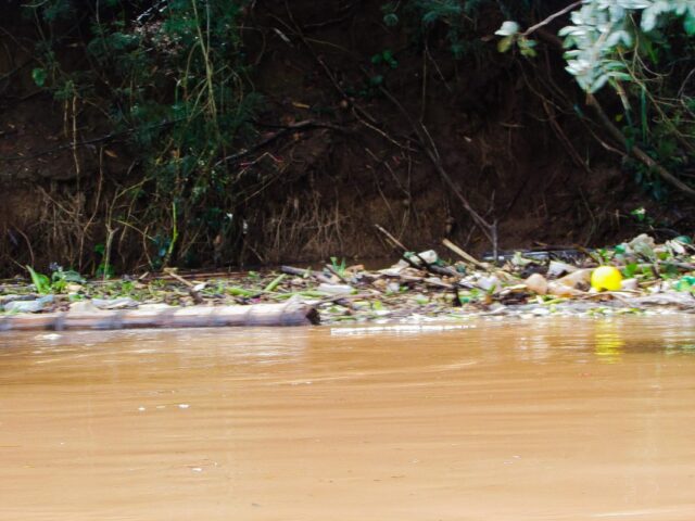Fotógrafo registra peixes mortos e lixo durante passeio de bote pelo rio Piracicaba