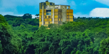 Foto: Gustavo Alves de Oliveira / @CamufladosBike