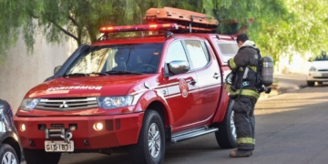 Foto: Wagner Romano / PIRANOT