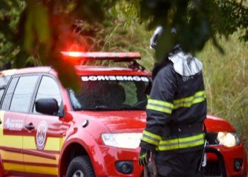 Foto: Wagner Romano / PIRANOT