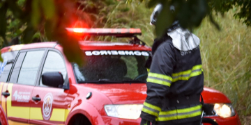 Foto: Wagner Romano / PIRANOT