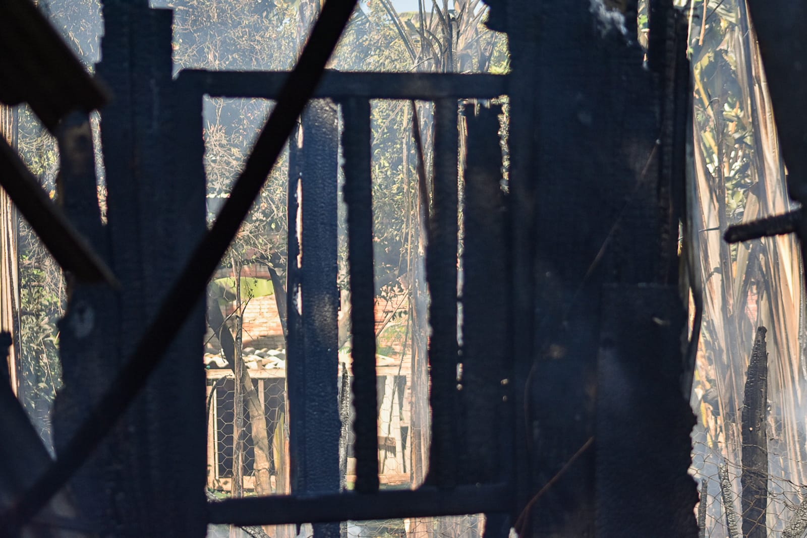 Neta mata a avó queimada e diz que ela pediu para morrer